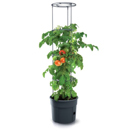 Květináč Prosperplast TOMATO GROWER na pěstování rajčat 29,5 cm antracit, IPOM300-S433