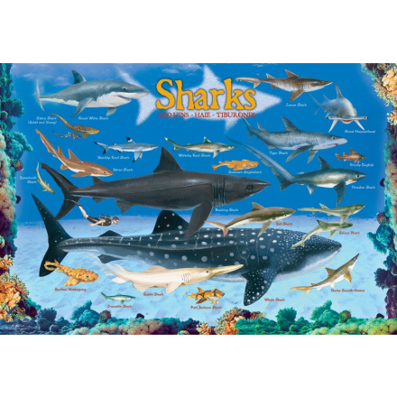 EUROGRAPHICS Puzzle Žraloci 100 dílků 138264
