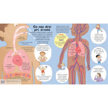 Svojtka & Co. Podívej se do svého těla 140044