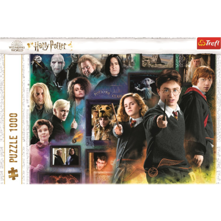 TREFL Puzzle Harry Potter: Kouzelnický svět 1000 dílků 143106