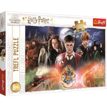 TREFL Puzzle Tajemný Harry Potter 300 dílků 143112