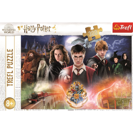 TREFL Puzzle Tajemný Harry Potter 300 dílků 143112