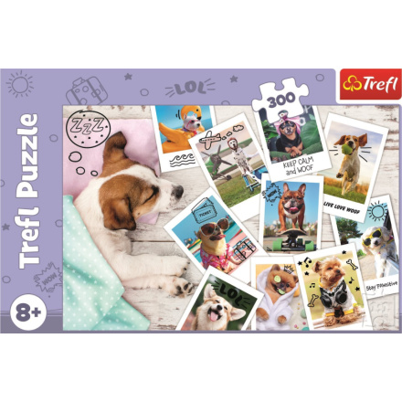 TREFL Puzzle Fotky z dovolené 300 dílků 143114