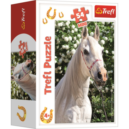 TREFL Puzzle Svět koní: Portrét bělouše 54 dílků 143150