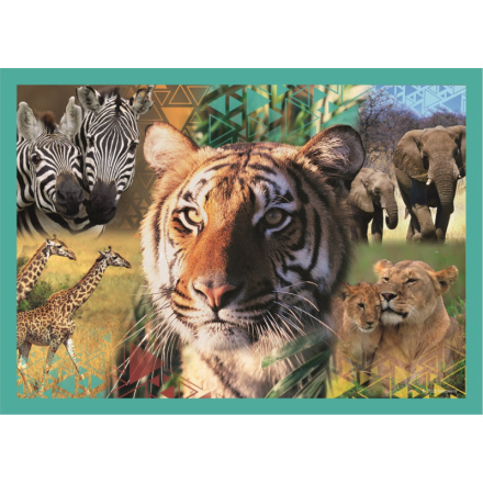 TREFL Puzzle Animal Planet: Záhadný svět zvířat 4v1 (35,48,54,70 dílků) 143639