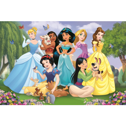 TREFL Puzzle Super Shape XL Disney princezny: V zahradě 104 dílků 149421