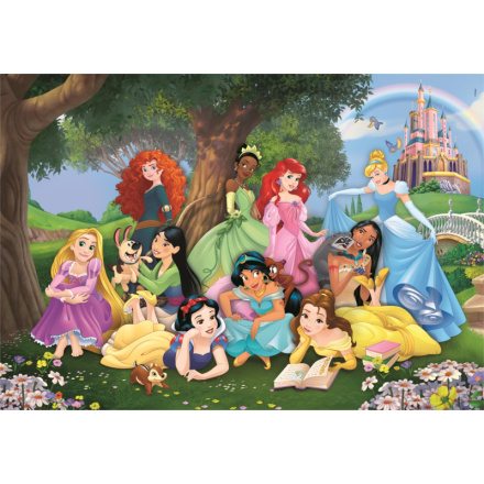 CLEMENTONI Puzzle Disney princezny 104 dílků 151851