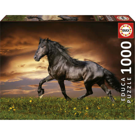 EDUCA Puzzle Klusající kůň 1000 dílků 152212
