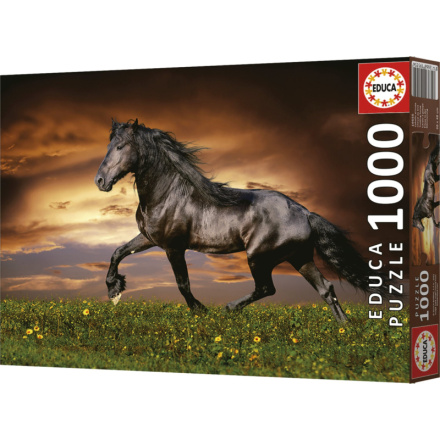 EDUCA Puzzle Klusající kůň 1000 dílků 152212