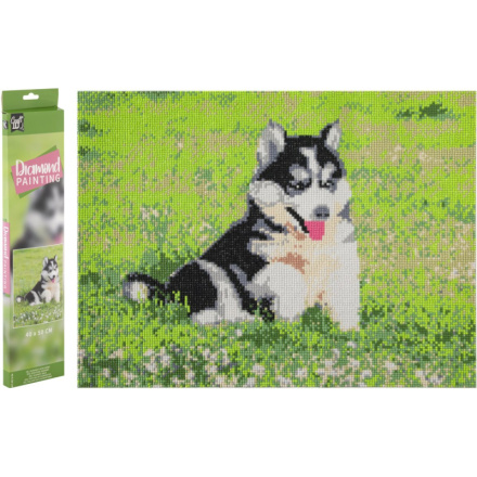 GRAFIX Diamantové malování Husky 40x50cm 158617