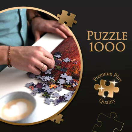 TREFL Puzzle Premium Plus Photo Odyssey: Bodeho muzeum v Berlíně 1000 dílků 159679