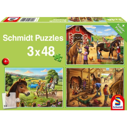 SCHMIDT Puzzle Moje oblíbení koníci 3x48 dílků 161912