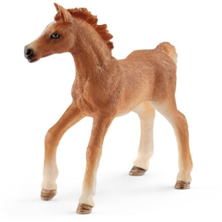 SCHLEICH Horse Club® 42361 Hříbě s dívkou a příslušenstvím 21473