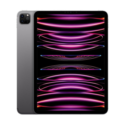 Apple iPad Pro 11"/WiFi + Cell/11"/2388x1668/8GB/256GB/iPadOS16/Space Gray, MNYE3FD/A