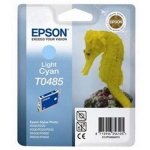 EPSON Ink ctrg Light Cyan RX500/RX600/R300/R200 T0485, C13T04854010 - originální