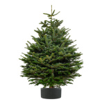 Stojan na vánoční stromek / květináč 5l - šedý, XC-80101