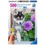 RAVENSBURGER Puzzle Roztomilý Husky XXL 500 dílků 118688