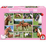 SCHMIDT Puzzle Nádherní koně 150 dílků 120784