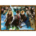 RAVENSBURGER Puzzle Harry Potter: Řád proti Smrtijedům 1000 dílků 124526