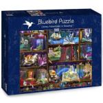 BLUEBIRD Puzzle Knihovna dobrodružství 3000 dílků 132231