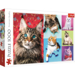 TREFL Puzzle Veselé kočky 1000 dílků 132530