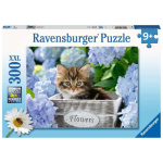 RAVENSBURGER Puzzle Malé kotě XXL 300 dílků 132659