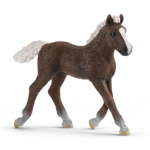 SCHLEICH Horse Club® 13899 Kůň Schwarzwaldský - hříbě 133517