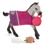 SCHLEICH Horse Club® 42534 Zábava pro zvířata 141844