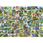 RAVENSBURGER Puzzle 99 úchvatných ptáků EXTRA 300 dílků 146366