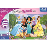 TREFL Puzzle Super Shape XL Disney princezny: V zahradě 104 dílků 149421