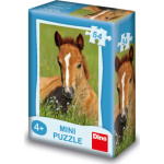 DINO Puzzle Zvířátka - Hříbě 54 dílků 150908