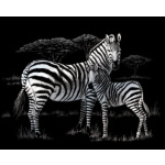 Stříbrný škrabací obrázek Zebra s mládětem 19746