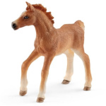 SCHLEICH Horse Club® 42361 Hříbě s dívkou a příslušenstvím 21473