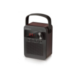 CARNEO F90 FM rádio, BT reproduktor, black/wood, 8588007861890